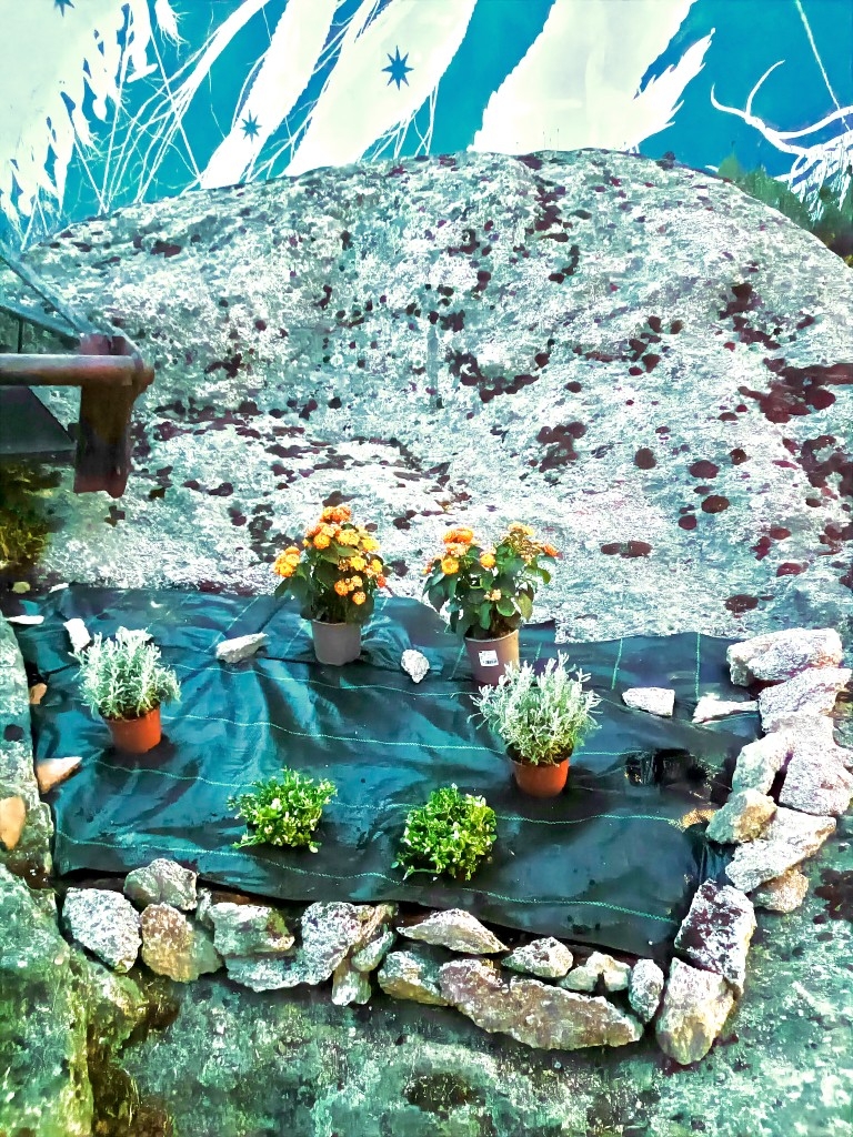 CREANDO UN JARDÍN SOSTENIBLE. ELECCION DE PLANTAS Y DISEÑO  