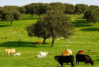 La Ventanica del Tormes